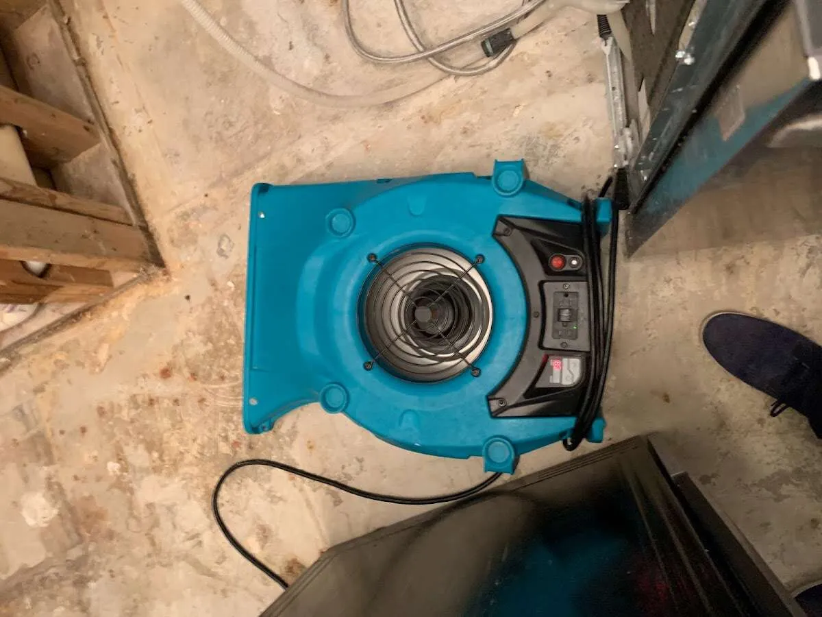 Air mover drying equipment for Mold Remediation & Removal in Raymond
